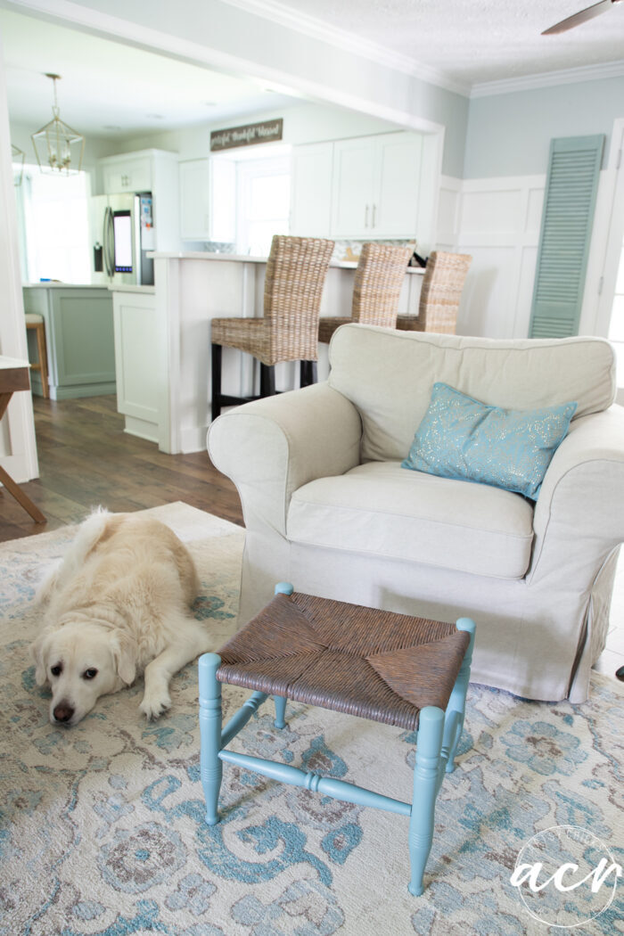coastal home with tans and blues and white dog