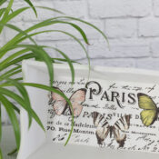 Butterfly Box (thrifty makeover)