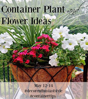 Container & Planter Ideas