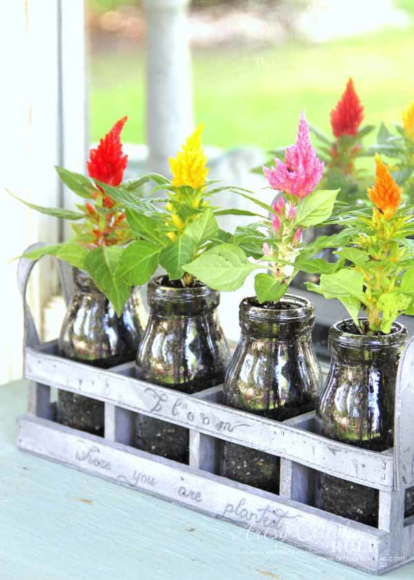 Decorating with Potted Plants - Unique Planter Ideas - SPRING IDEAS - artsychicksrule #pottedplants #planterideas