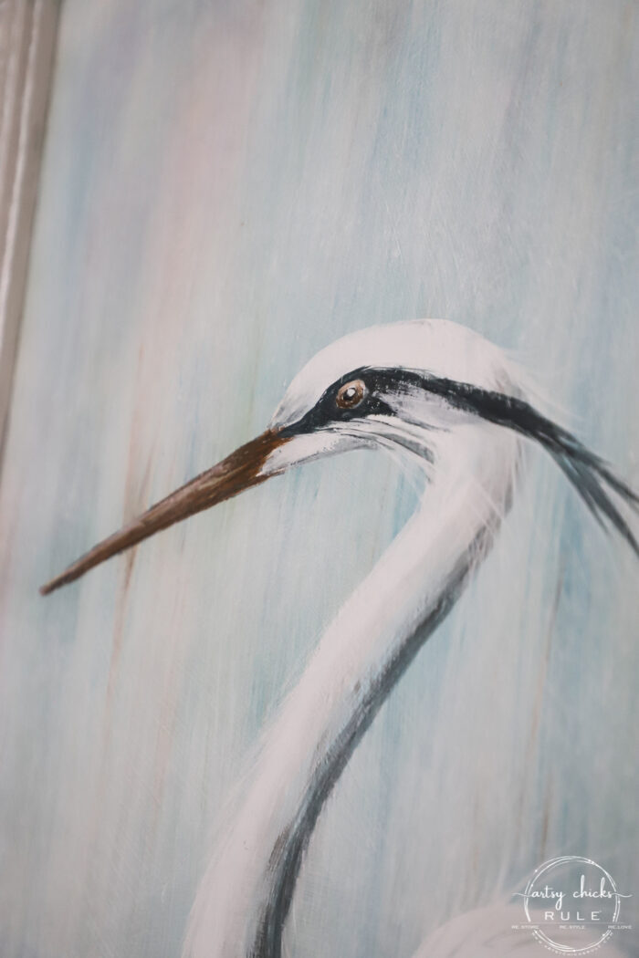 close up of blue heron head and eye