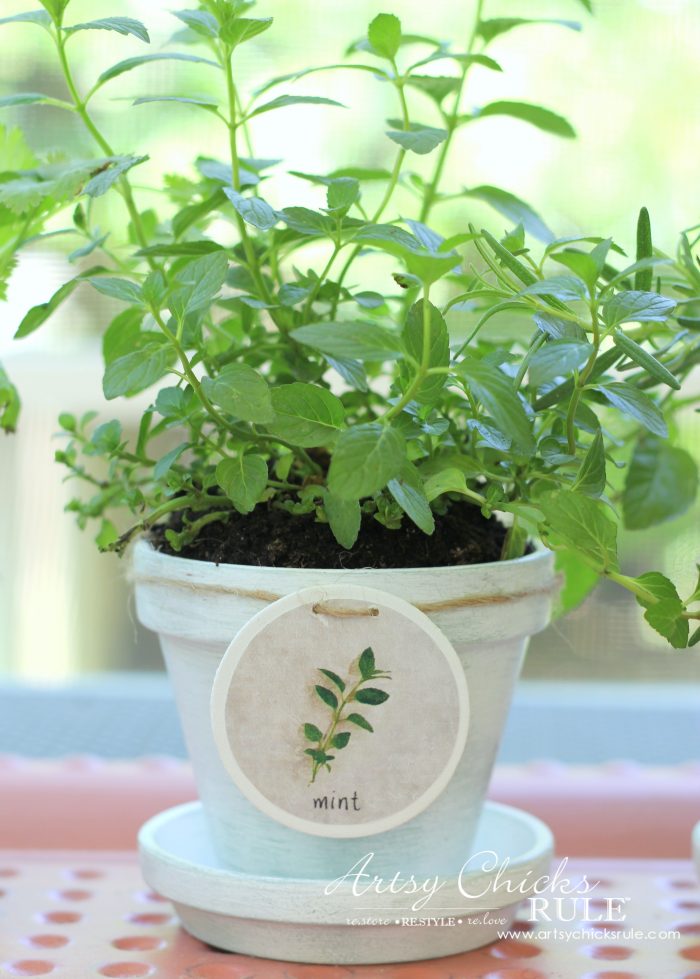 DIY Decorative Clay Pots with Herbs (decorating challenge)