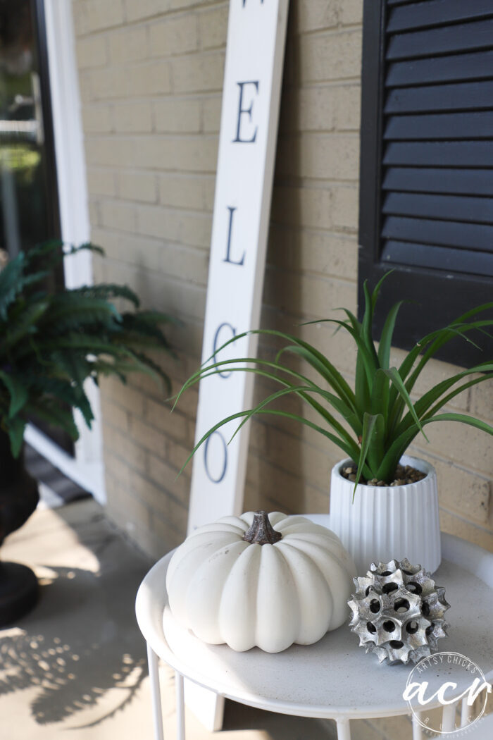 white small round table with green plant and white pumpkin