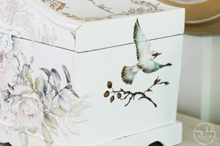 sideview of bird and branch on white box