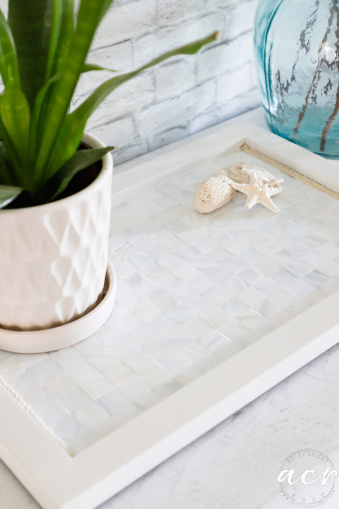 white tray with mother of pearl tile and green plant seashells